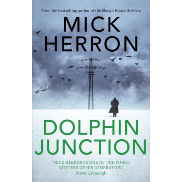 Dolphin Junction (inbunden, eng)