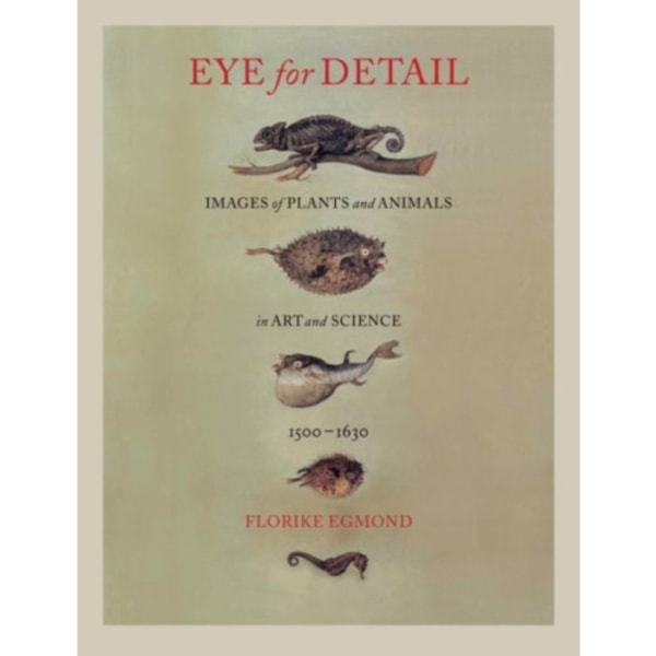 Eye for Detail (inbunden, eng)