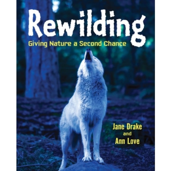 Rewilding (häftad, eng)