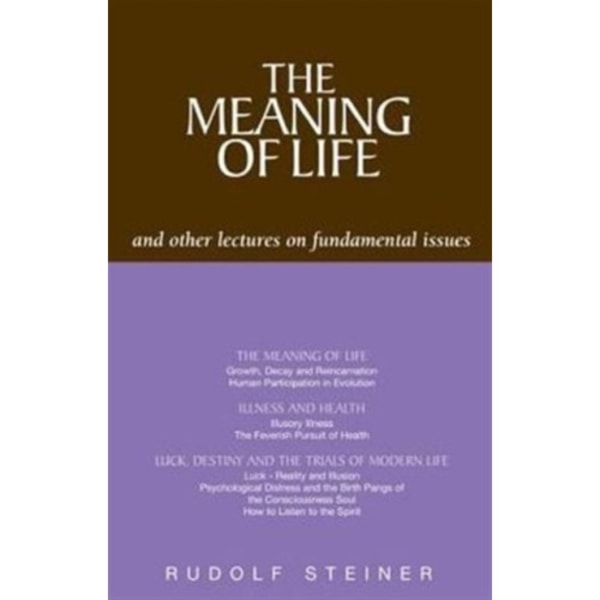 The Meaning of Life and Other Lectures on Fundamental Issues (häftad, eng)