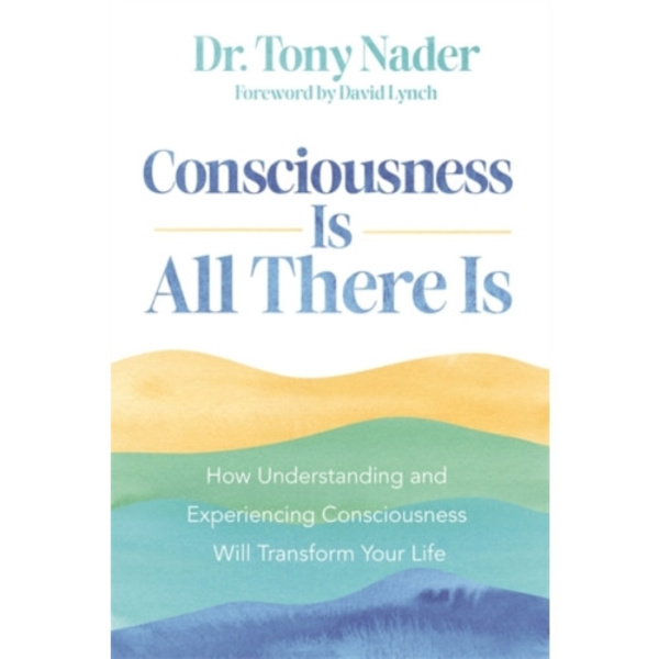 Consciousness Is All There Is (häftad, eng)
