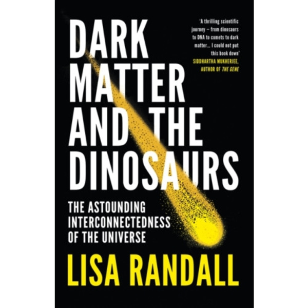 Dark Matter and the Dinosaurs (häftad, eng)