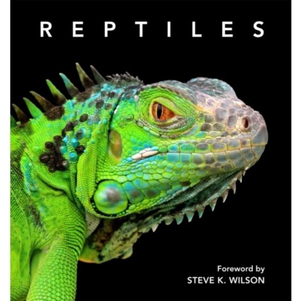 Reptiles (inbunden, eng)