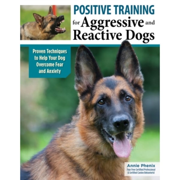 Positive Training for Aggressive & Reactive Dogs (häftad, eng)
