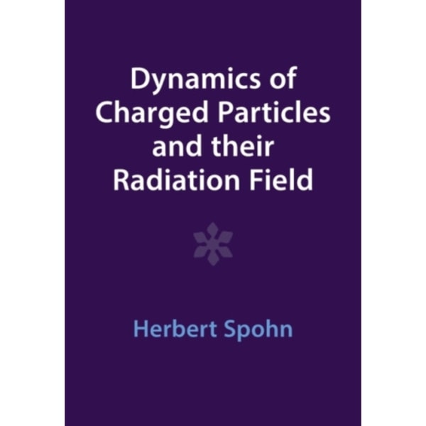 Dynamics of Charged Particles and their Radiation Field (häftad, eng)