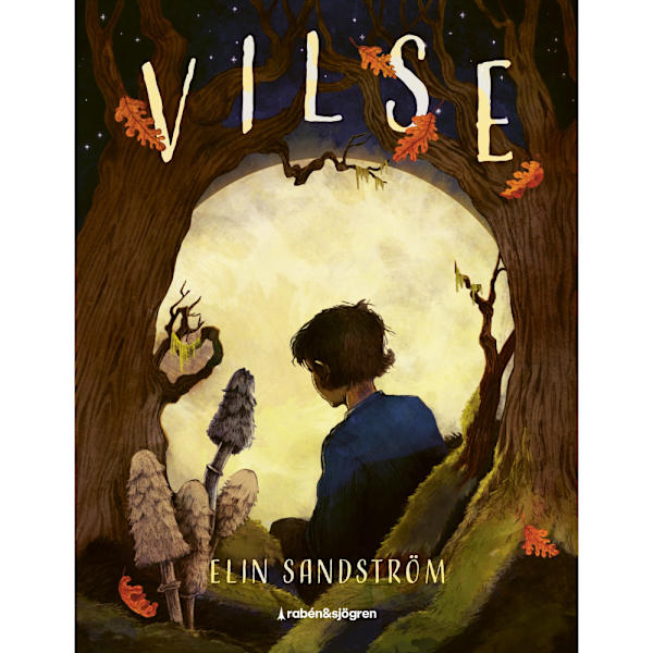Vilse (inbunden)