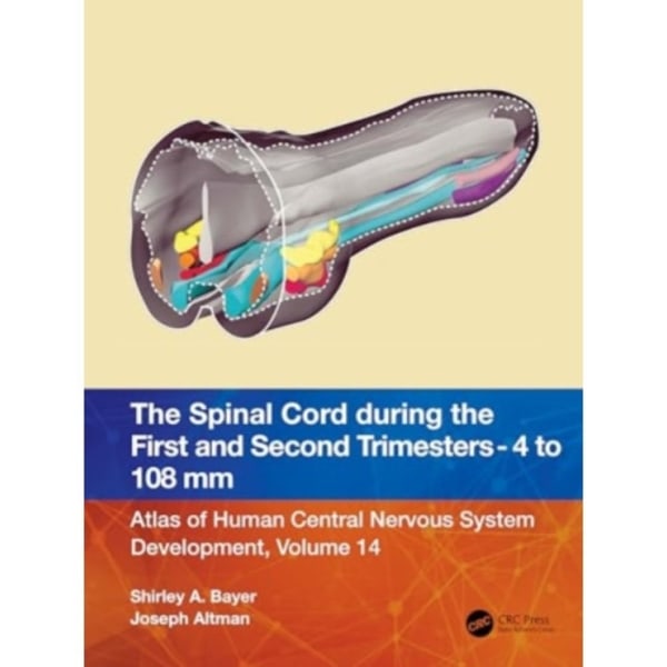 The Spinal Cord during the First and Early Second Trimesters 4- to 108-mm Crown-Rump Lengths (häftad, eng)