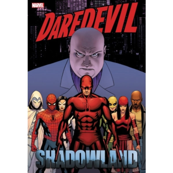 Daredevil: Shadowland Omnibus Cassaday Cover (New Printing) (inbunden, eng)
