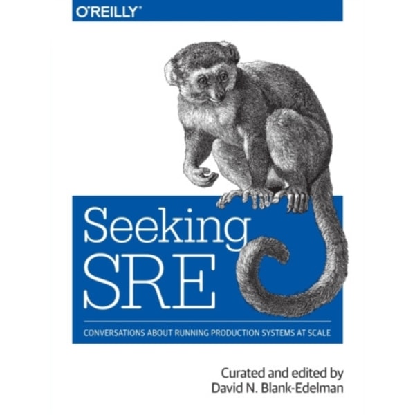 Seeking SRE (häftad, eng)