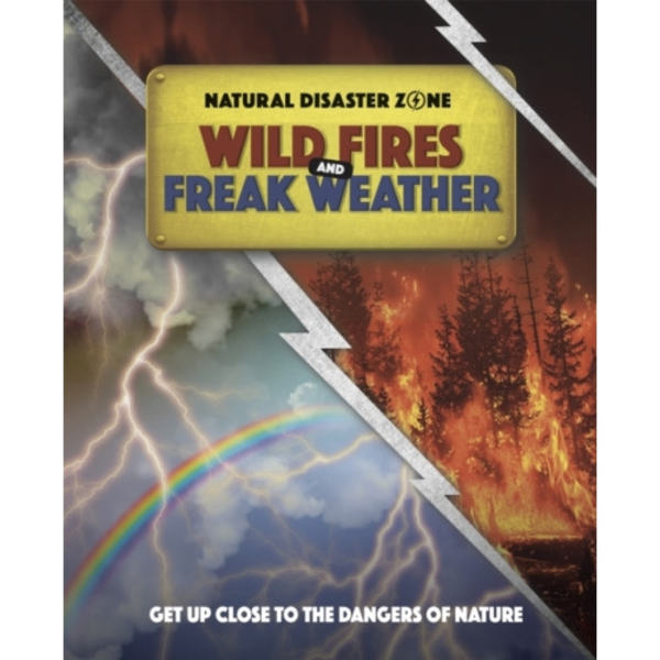Natural Disaster Zone: Wildfires and Freak Weather (häftad, eng)