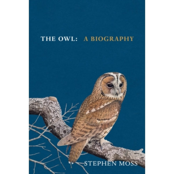 The Owl (inbunden, eng)
