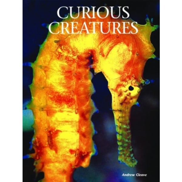 Curious Creatures (inbunden, eng)