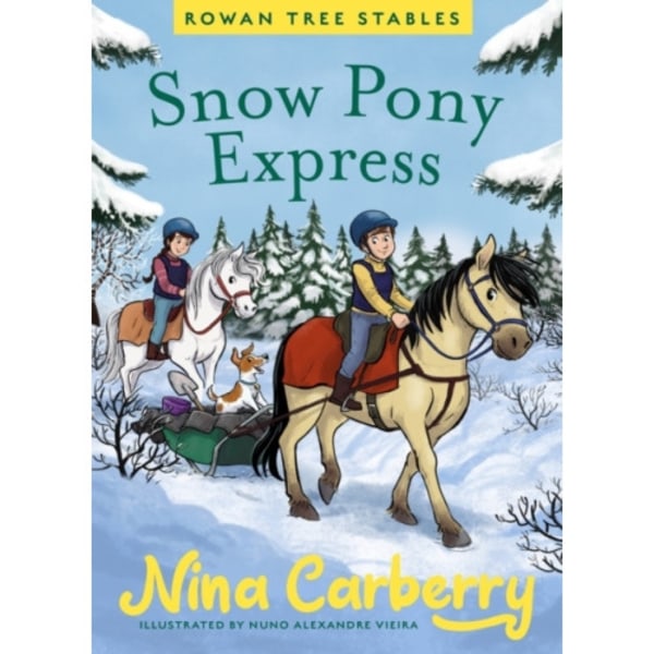 Rowan Tree Stables 3 - Snow Pony Express (inbunden, eng)