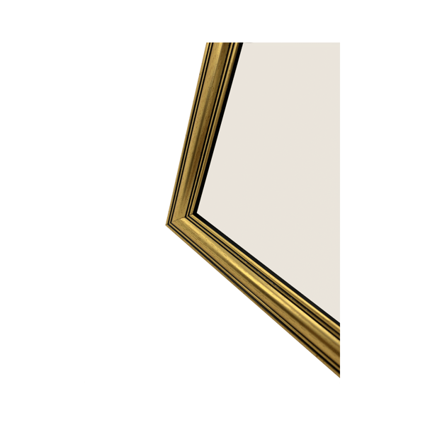 Focus Holly Gold 30x40