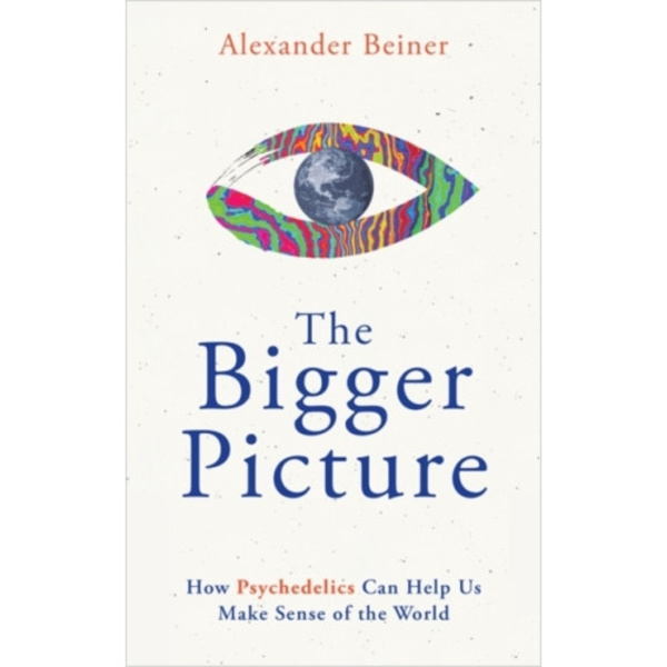The Bigger Picture (häftad, eng)