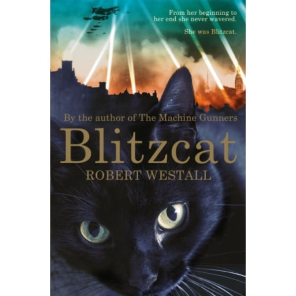 Blitzcat (häftad, eng)