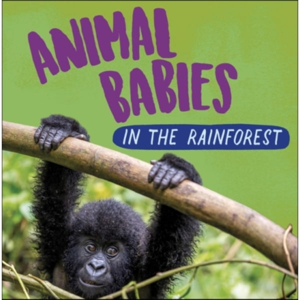 Animal Babies: In the Rainforest (häftad, eng)