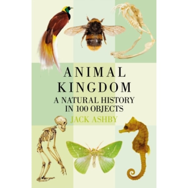 Animal Kingdom (häftad, eng)