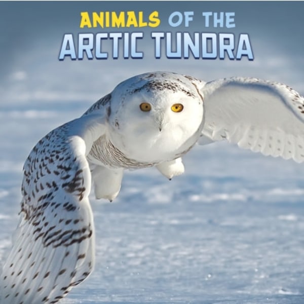 Animals of the Arctic Tundra (inbunden, eng)