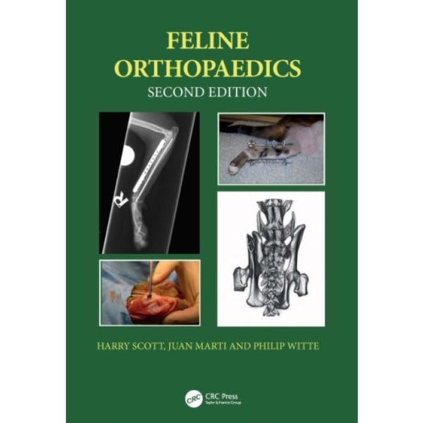 Feline Orthopaedics (inbunden, eng)