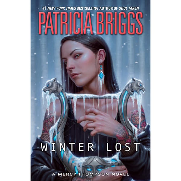 Winter Lost (inbunden, eng)
