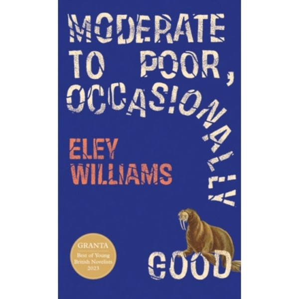 Moderate to Poor, Occasionally Good (häftad, eng)