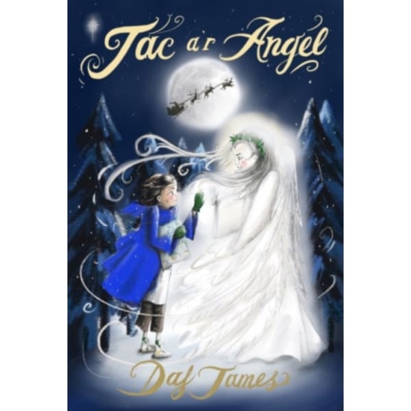 Jac a'r Angel (häftad, wel)