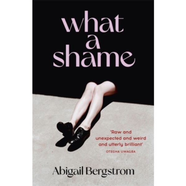 What a Shame (inbunden, eng)