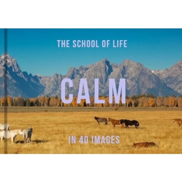 Calm in 40 Images (inbunden, eng)