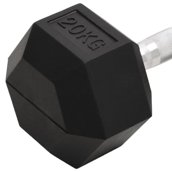 Hantel 20 kg gjutjärn