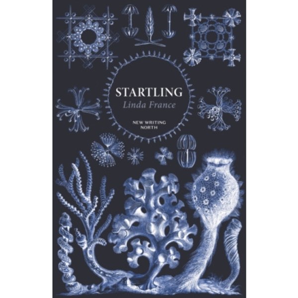 Startling (häftad, eng)