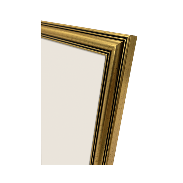 Focus Holly Gold 20x30