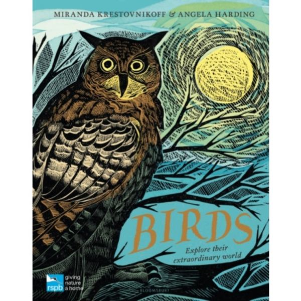 RSPB Birds (inbunden, eng)