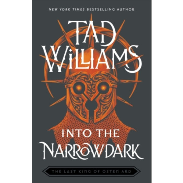 Into the Narrowdark (häftad, eng)