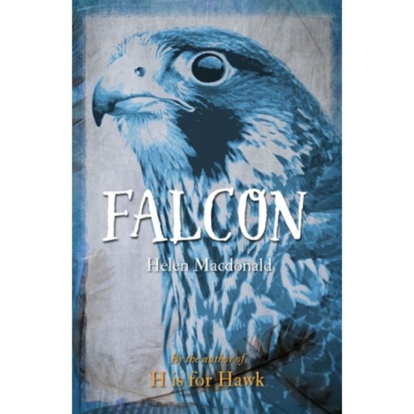 Falcon (häftad, eng)
