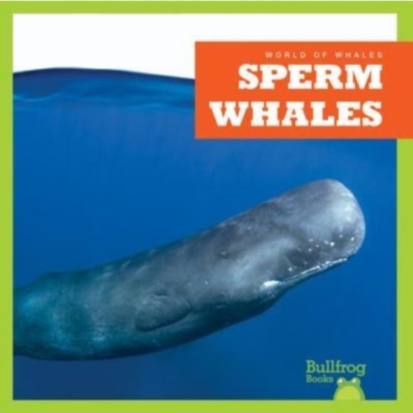 Sperm Whales (inbunden, eng)