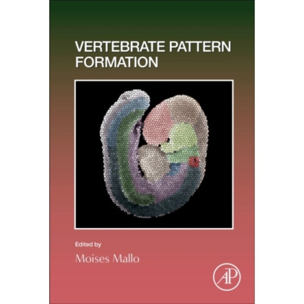 Vertebrate Pattern Formation (inbunden, eng)