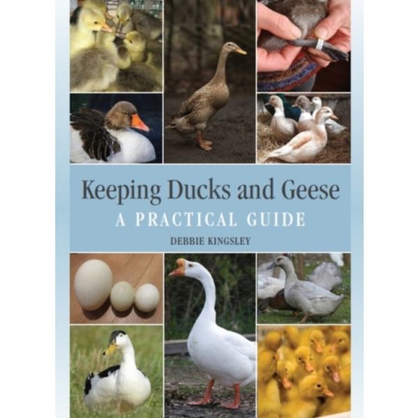 Keeping Ducks and Geese (inbunden, eng)