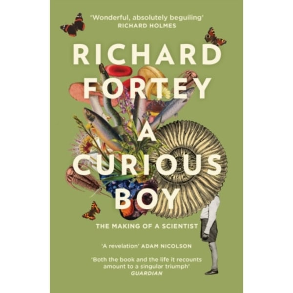 A Curious Boy (häftad, eng)