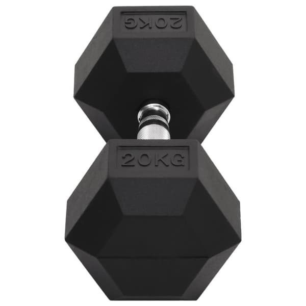 Hantel 20 kg gjutjärn