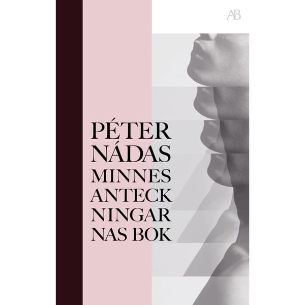 Minnesanteckningarnas bok (bok, storpocket)