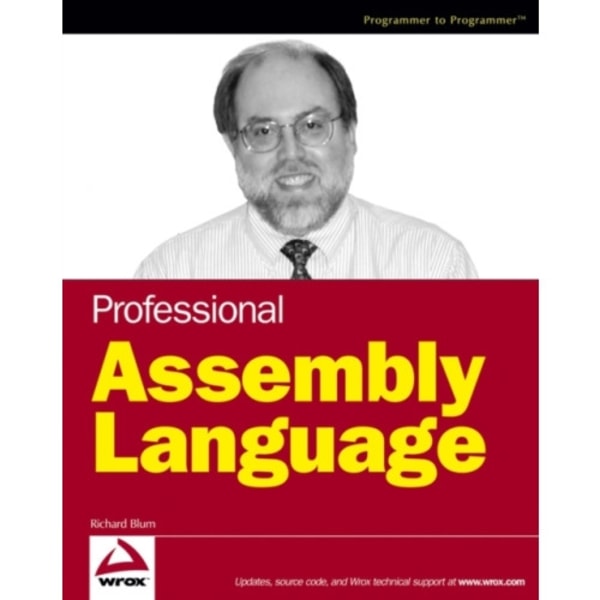 Professional Assembly Language (häftad, eng)