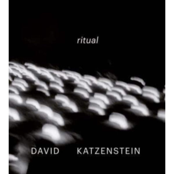 David Katzenstein (inbunden, eng)