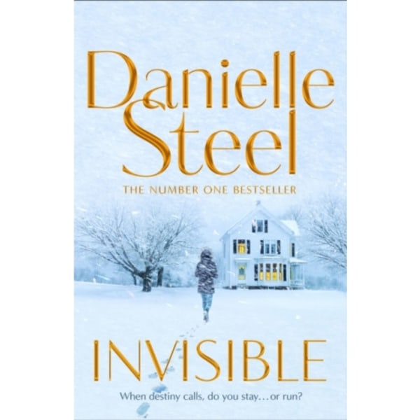 Invisible (inbunden, eng)