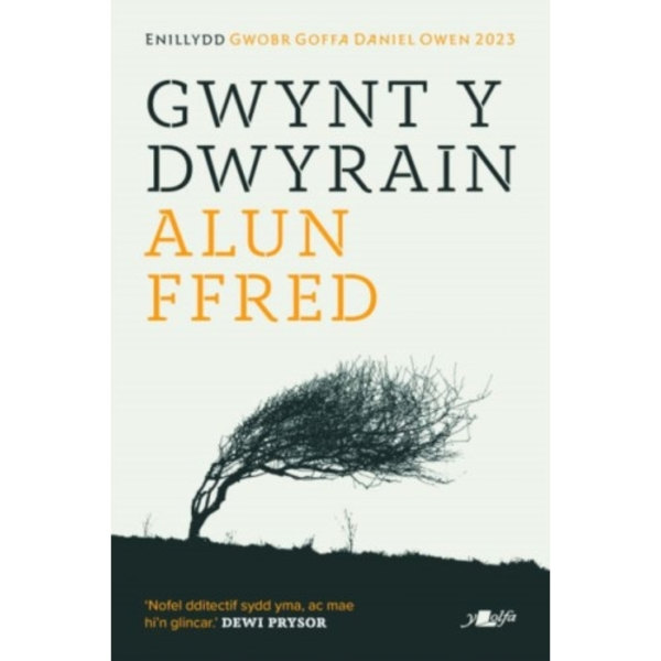 Gwynt y Dwyrain (häftad, wel)
