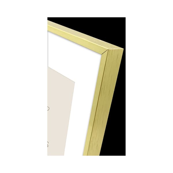 Focus Aster Gold 40x50/PP 30x40