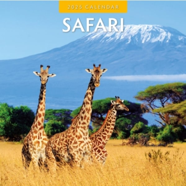 Safari 2025 Square Wall Calendar (häftad, eng)