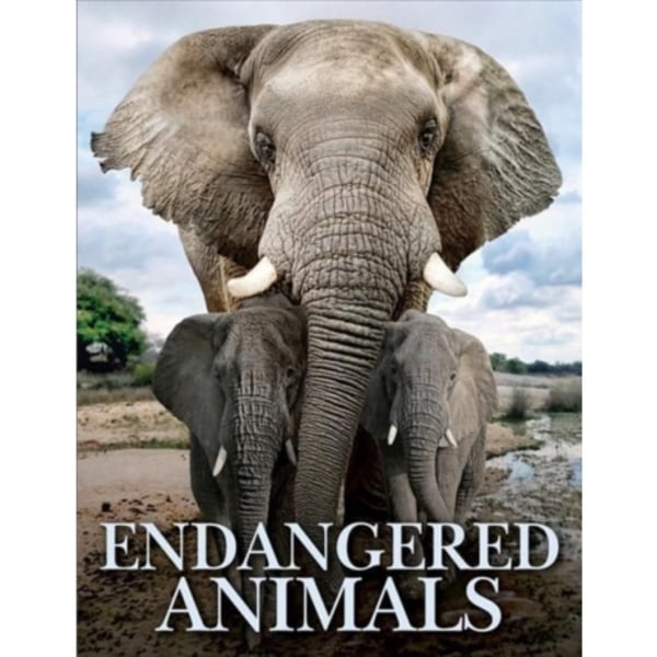 Endangered Animals (inbunden, eng)
