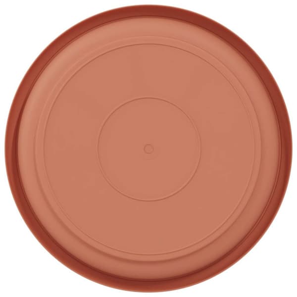 Rund Blomkruka 6 pcs Murgrön Ø 14 x 2 cm Plast