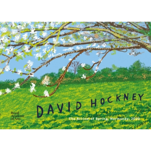 David Hockney (inbunden, eng)